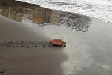 Ruta por la costa en memoria de José Luis González Ruano (Foto Ildefonso Rodríguez y TA)